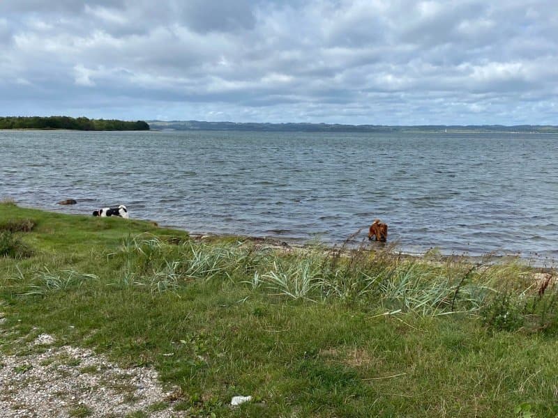 Ebeltoft Strand Camping