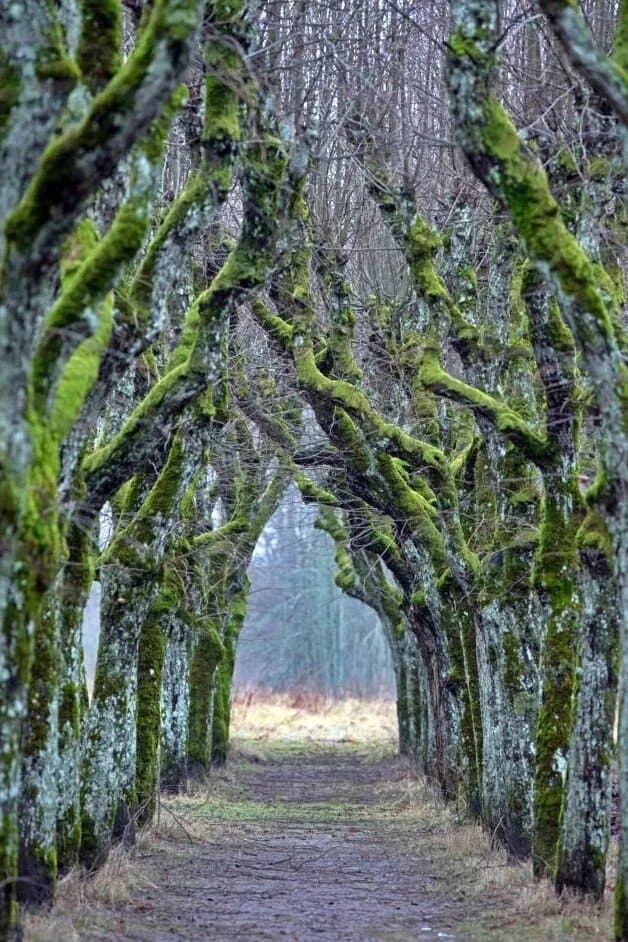 Katvari Manor Park