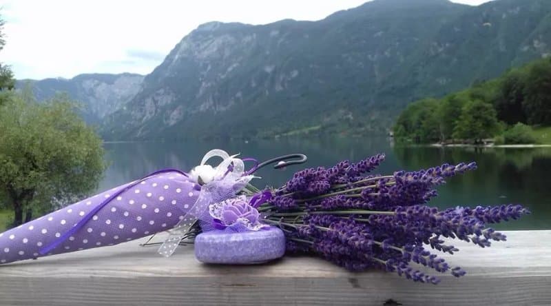 Souvenir Lavande Belvedere