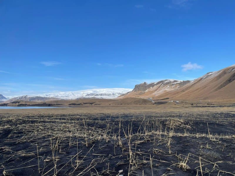 Reynisfjara Beach