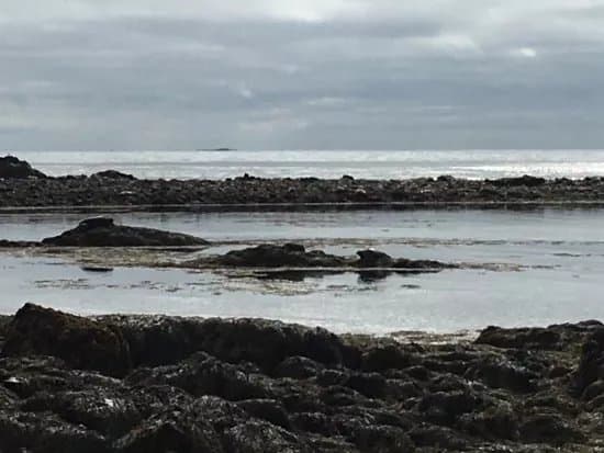 Ytri Tunga Beach