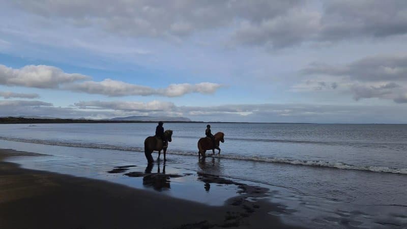 Cora's House & Horses