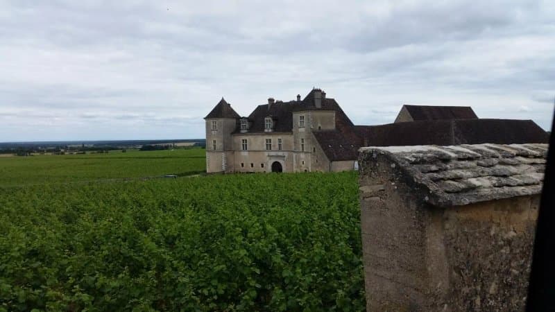 Wine and Voyages