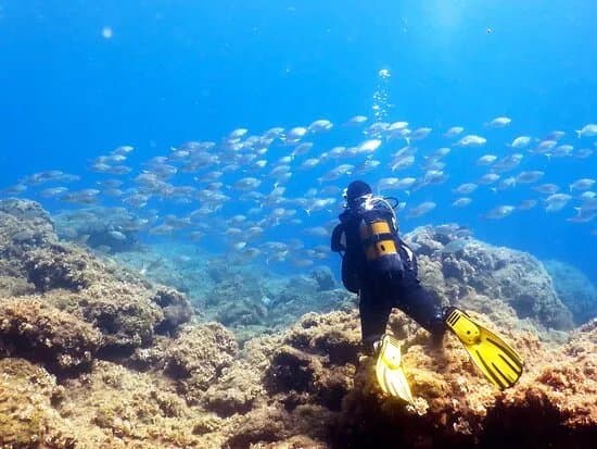 The Waterhoppers Diving School