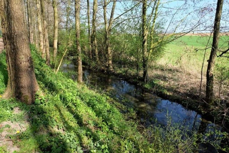 Schunterquelle