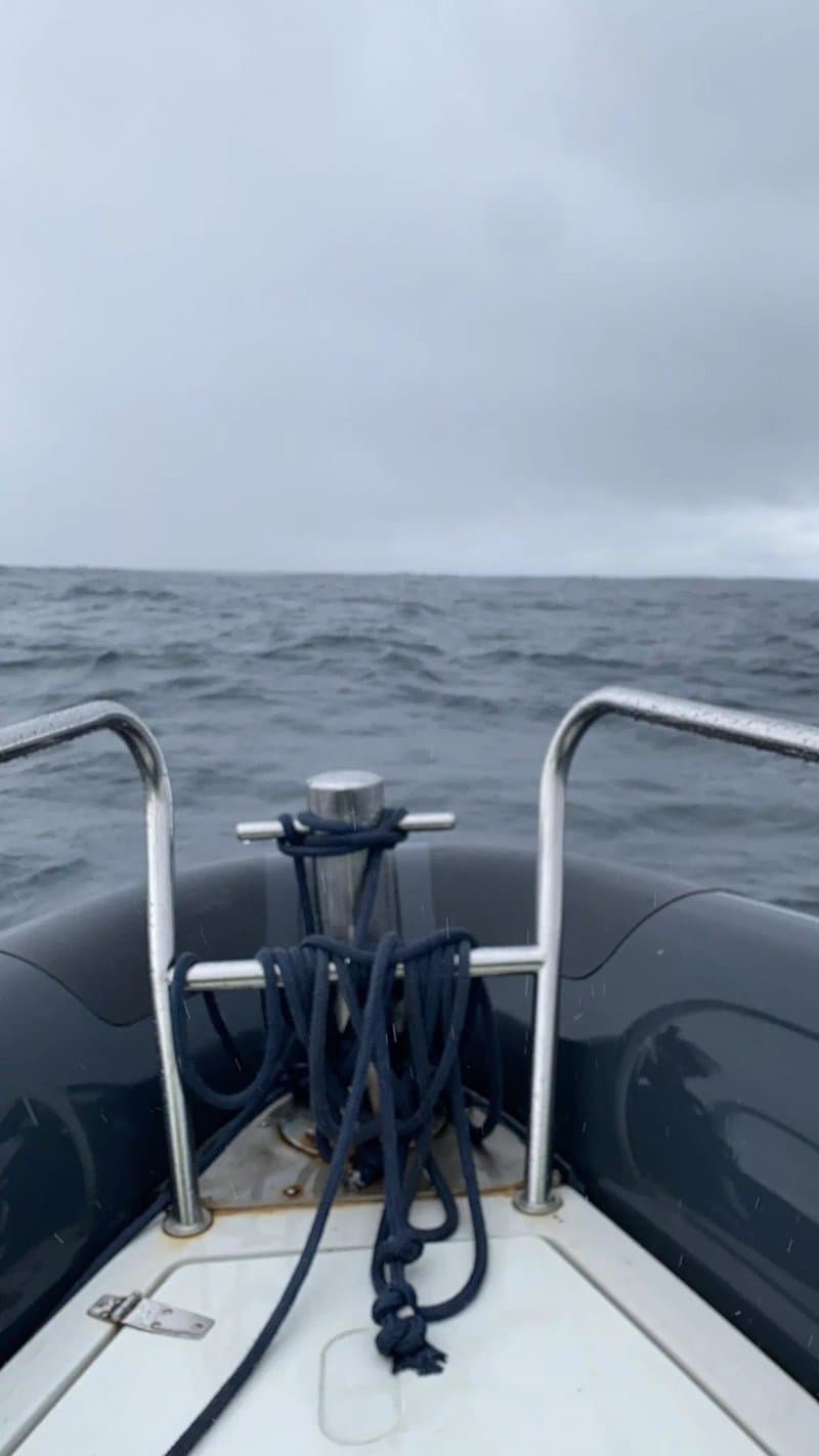 Whale2Sea