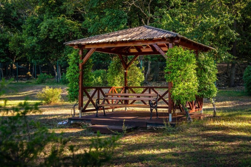 The Mediterranean Garden