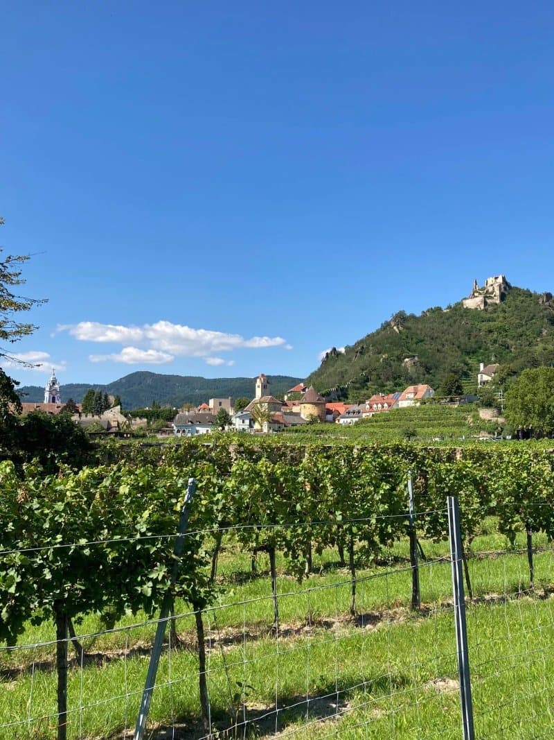Alter Klosterkeller