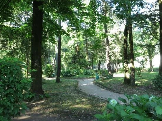 Big City Park