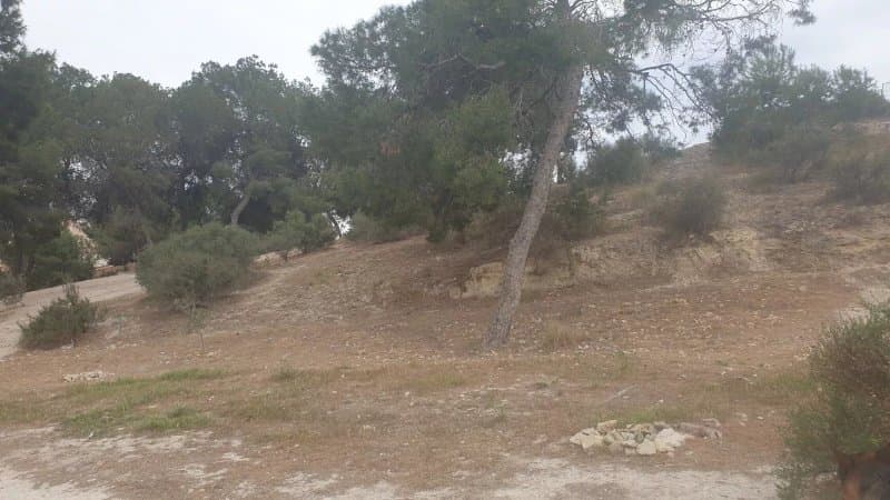 Parque Arqueologa Solveig Nordstrom