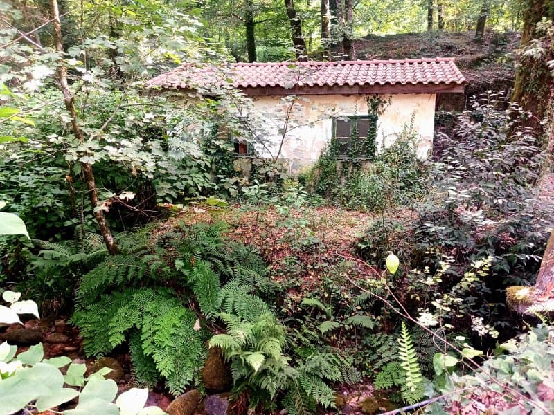Gerês Vidoeiro Camping