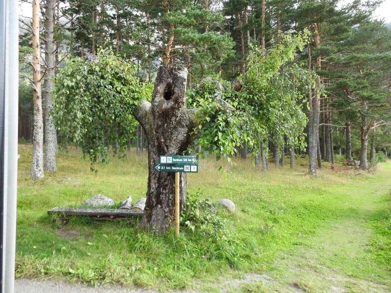 Haereid Iron Age Burial Site