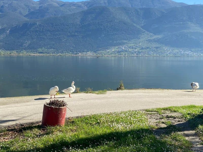 Camping Limnopoula