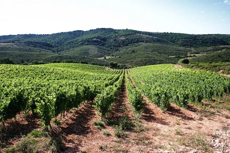 Clos de l'Amandaie