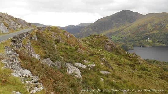 Healy Pass
