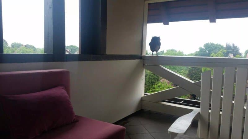 Stasea Apartments