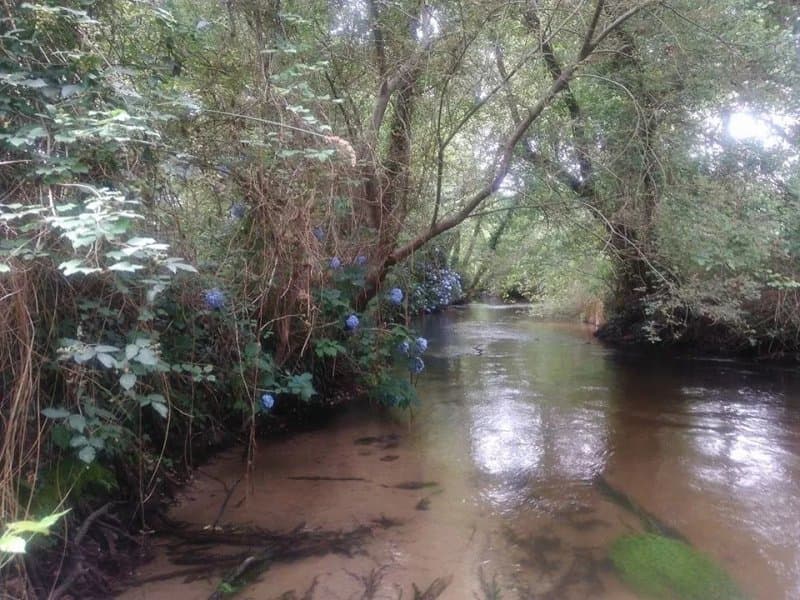 Canoe Land