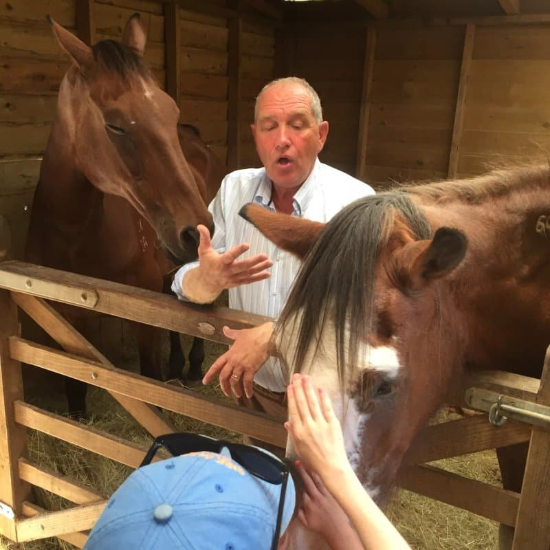 Brantome Police Horses & Friends