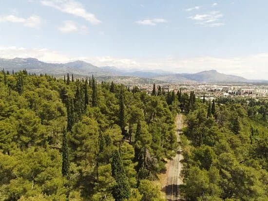 Park Forest Gorica