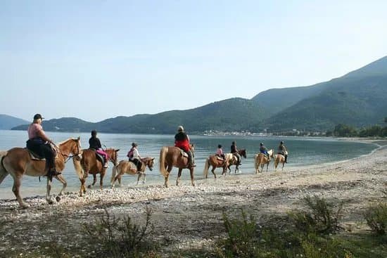 Bavarian Horse Riding Stables