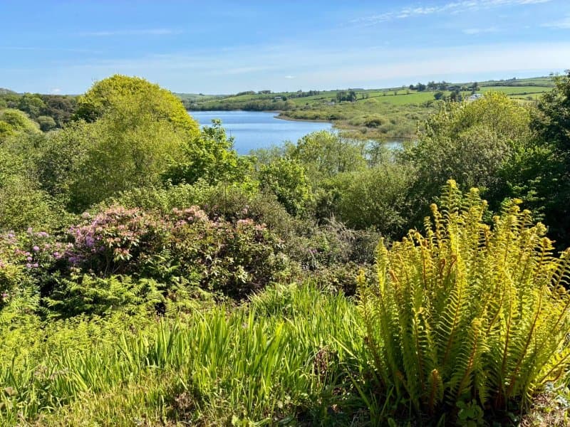The Sky Garden At Liss Ard Country House Estate