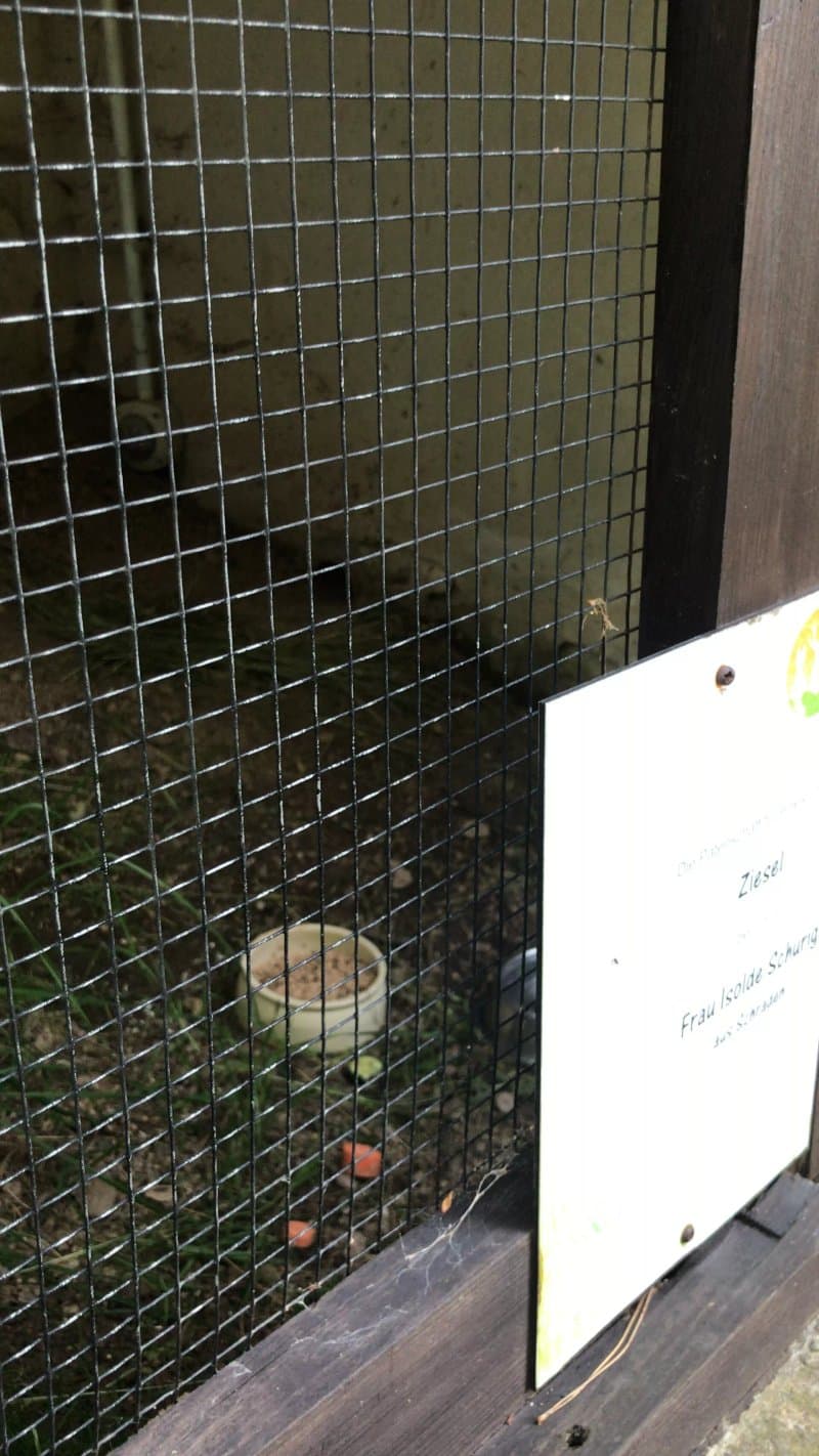 Natur- Und Wildpark Waschleithe