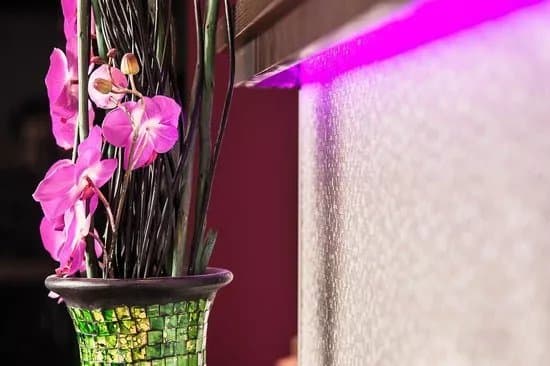Maldiv Thai Massage