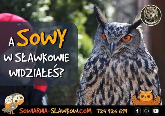 Sowiarnia Slawkow