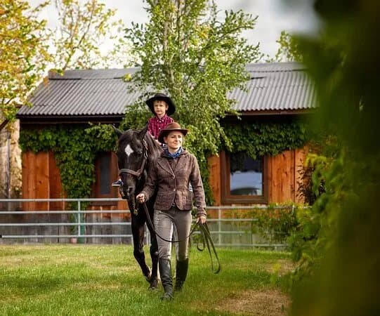 Villa Betula Resort - Horse Riding Arena