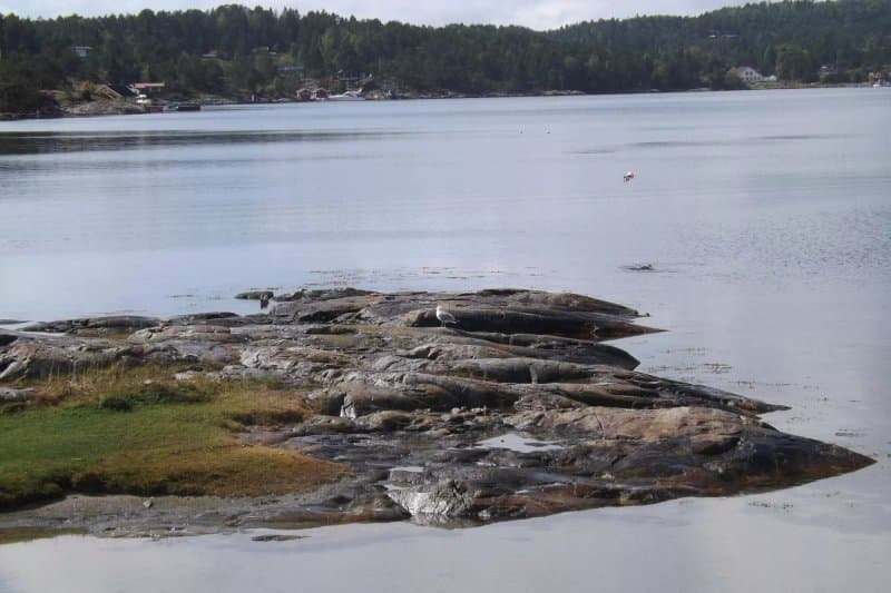 Kjonnoya Camping