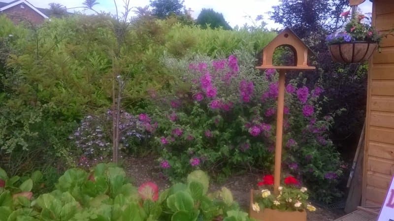 Longford Garden Centre