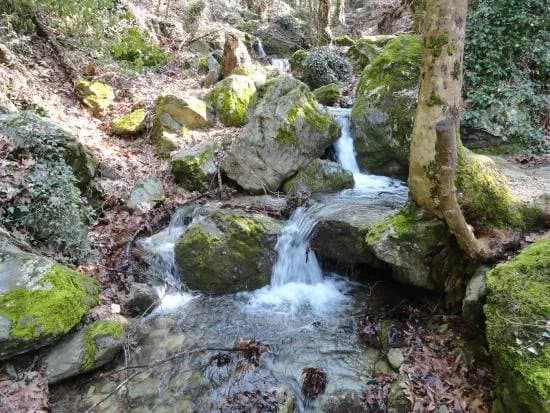 Spring of Manas