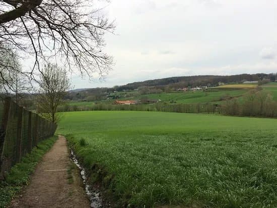 Muziekbos