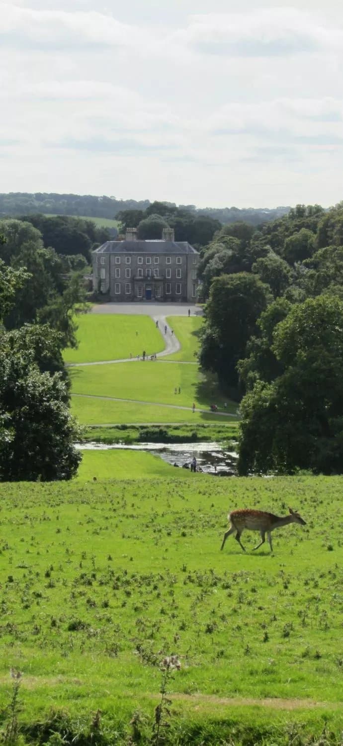 Doneraile Court