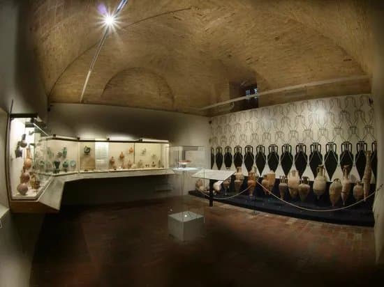 MUVIT Museo del Vino