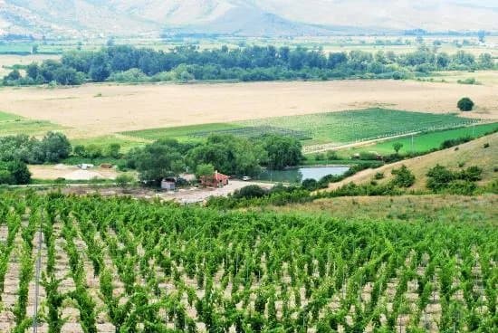 Bulgaria Wine Tours
