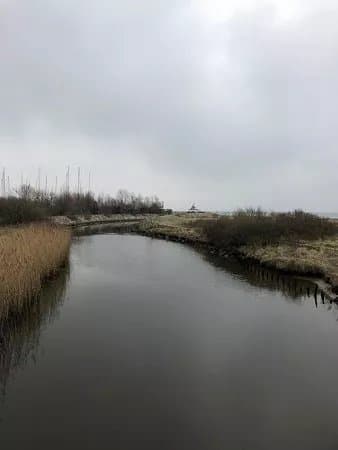 Akrogen Strand