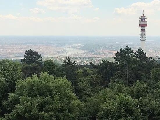 Guckler Karoly Lookout Tower
