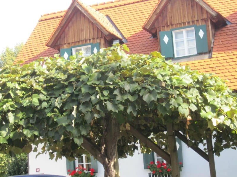 Gasthaus "Zum Fuchswirt"