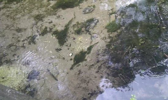 Odalatsi Springs