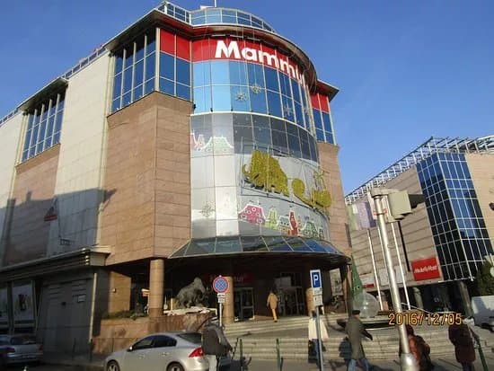 Mammut