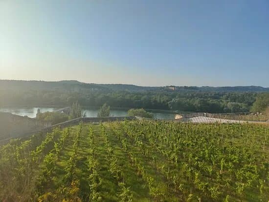 Jardin Des Doms