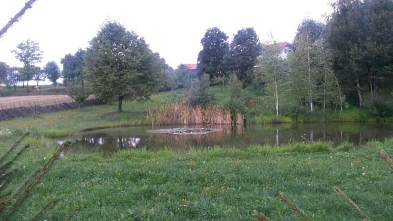 EcoHotel Koros