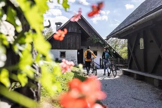 Finzgar's Birth House - Museum