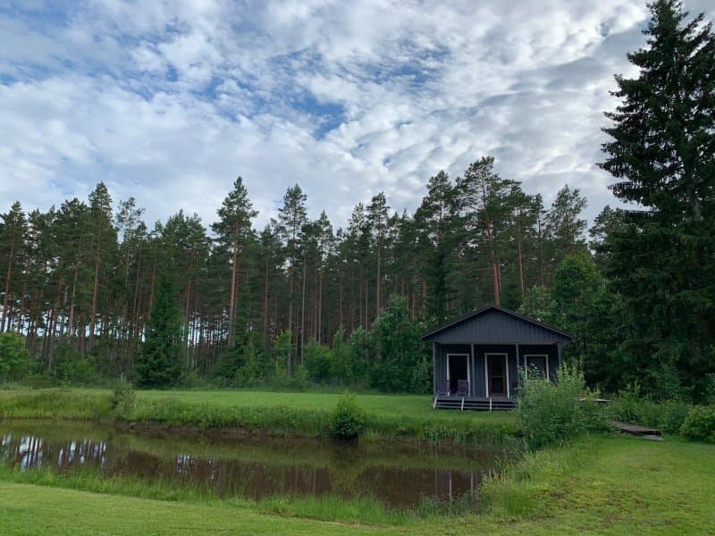 Guest House Ziedkalni