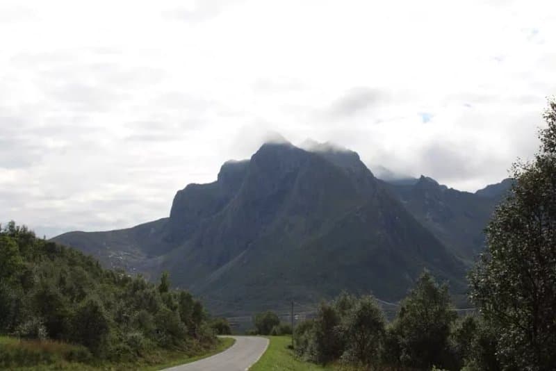 Morfjorden