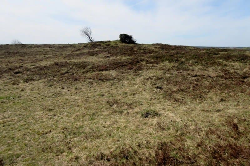 De Himmerlandske Heder