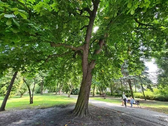 Park Zdrojowy