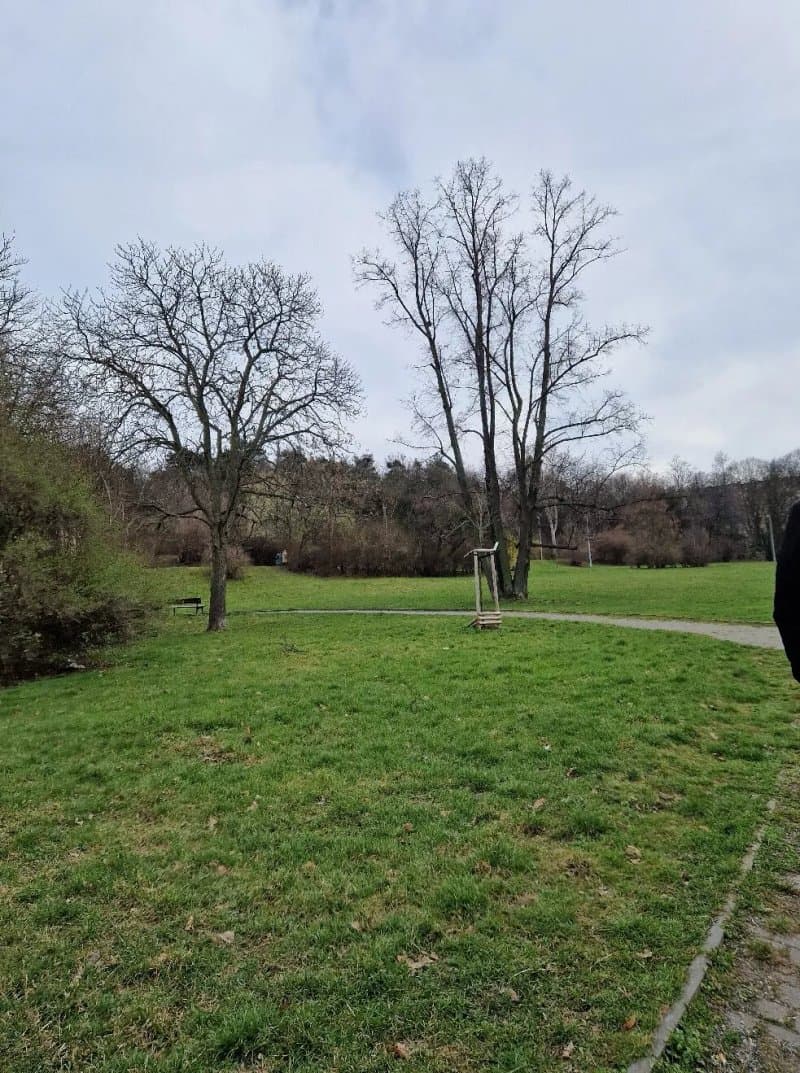 Kralovka Park