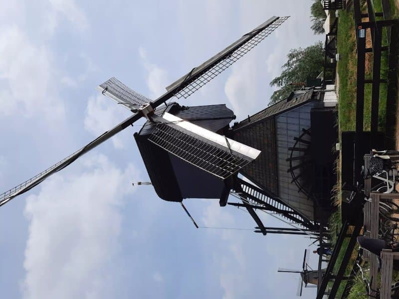 Kinderdijk